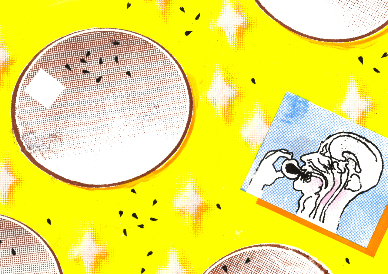 2025年6月号
「あんぱん」